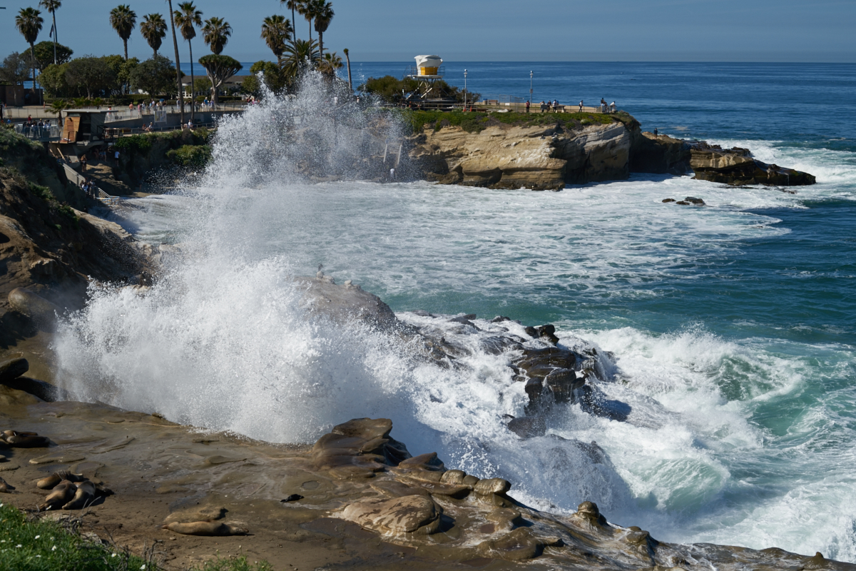 La Jolla Cove Surf 20160212